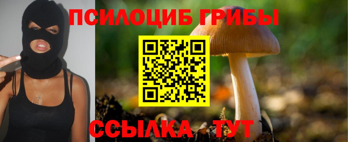 Псилоцибиновые грибы мицелий Фурманов